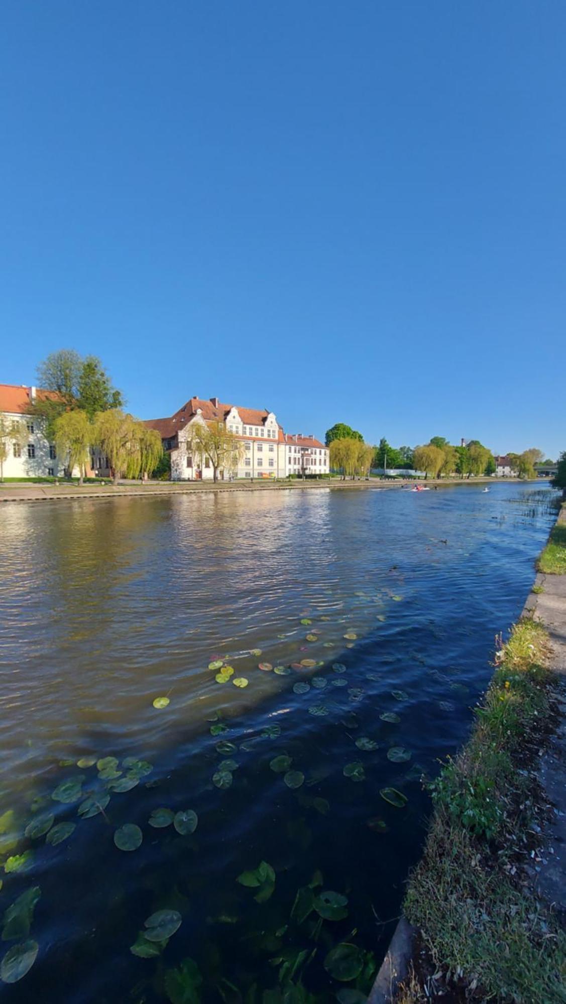 Stare Miasto Kwiaty Elblag Bagian luar foto